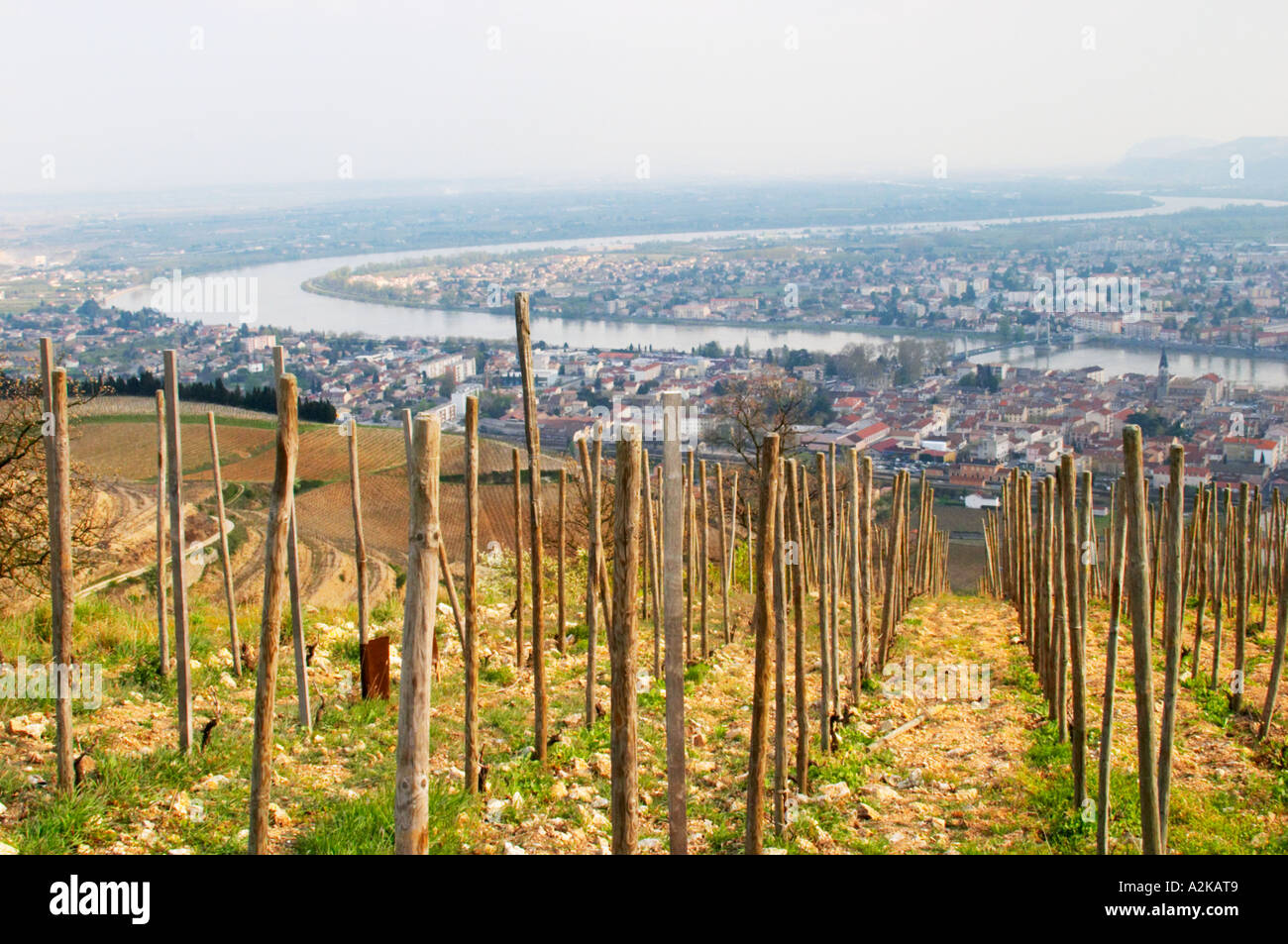 L'Eremo vigneti sulle colline dietro la città di Tain-l'Hermitage, sul ripido pendio, terrazzamenti in pietra. A volte scritto Ermitage. Una vista sopra la valle del Rodano e il fiume e la città gemella Tain Tournon. Tain l'Hermitage, Drome, Drôme, Francia, Europa Foto Stock