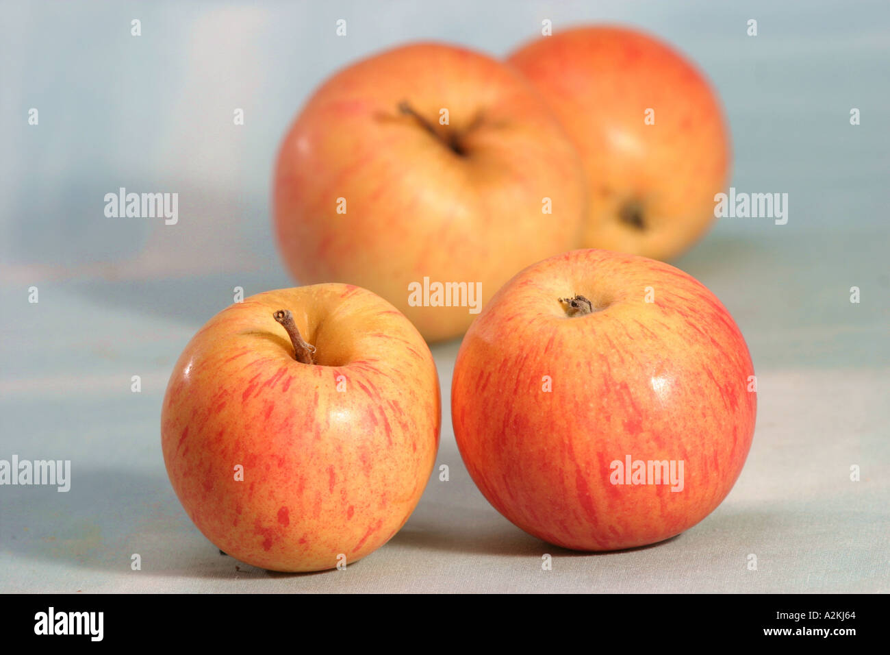 Apple ordina Rheinischer Krumstiel Foto Stock