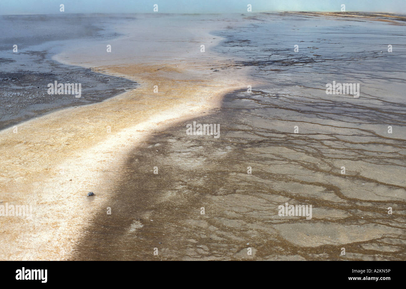 Colori di batteri il Parco Nazionale di Yellowstone negli Stati Uniti d'America America Foto Stock