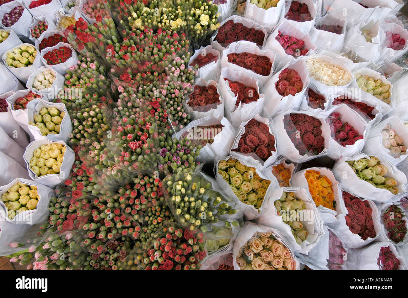 Fiori freschi mazzi avvolti in carta presso il mercato dei fiori di Kowloon Foto Stock