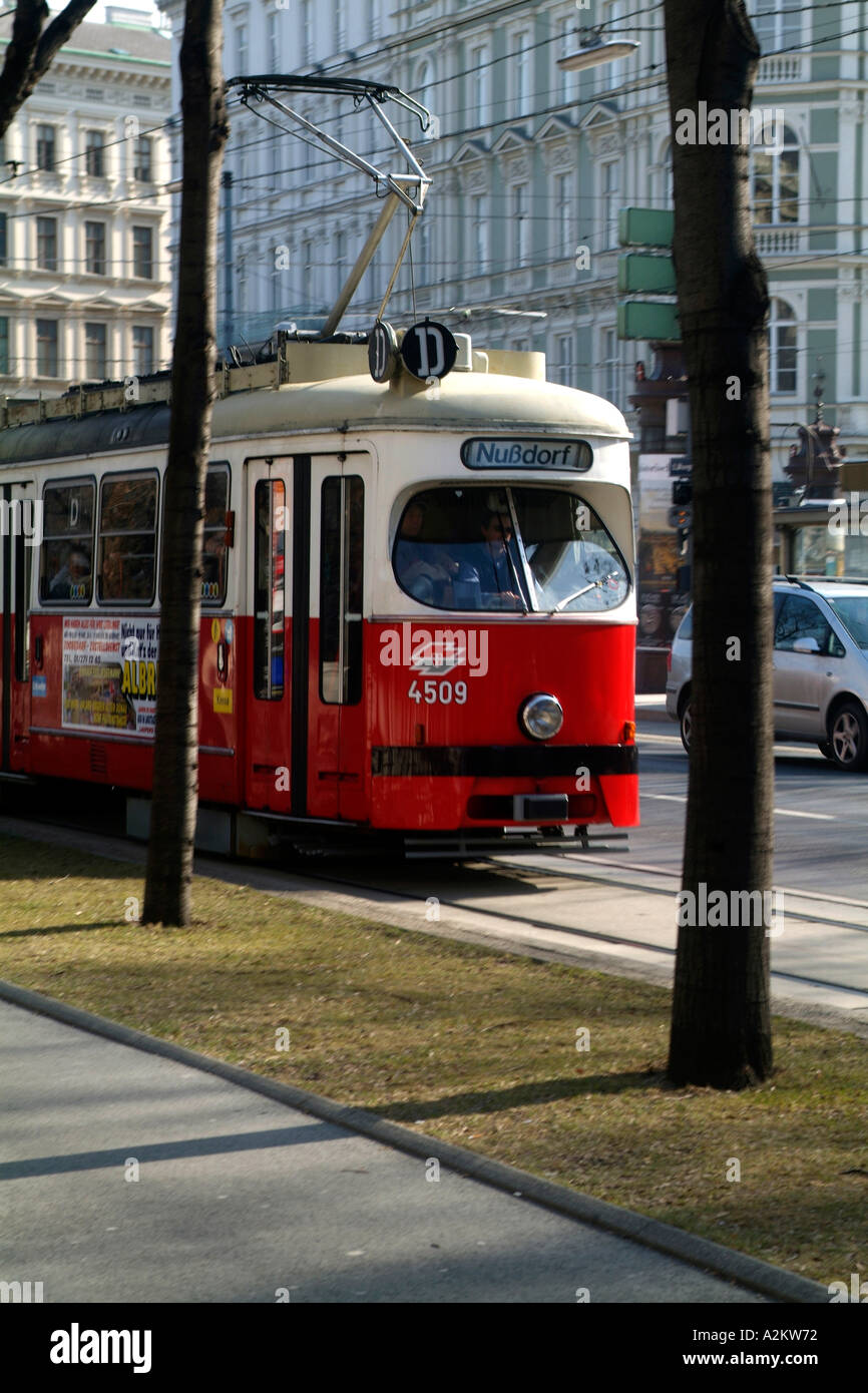 I tram sono una parte centrale della città interna schema di trasporto di vienna. Foto Stock