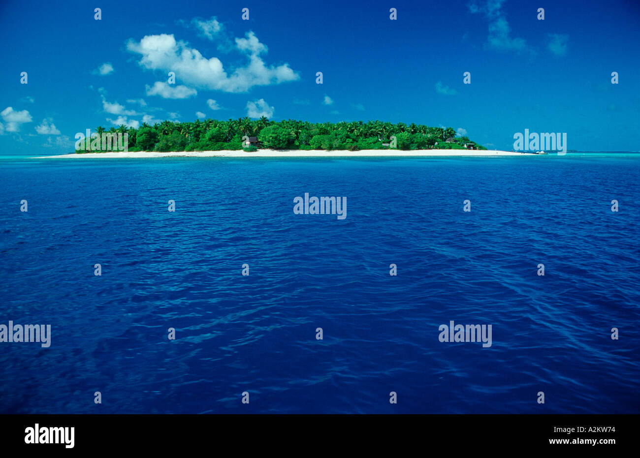Isola sulle Maldive Foto Stock