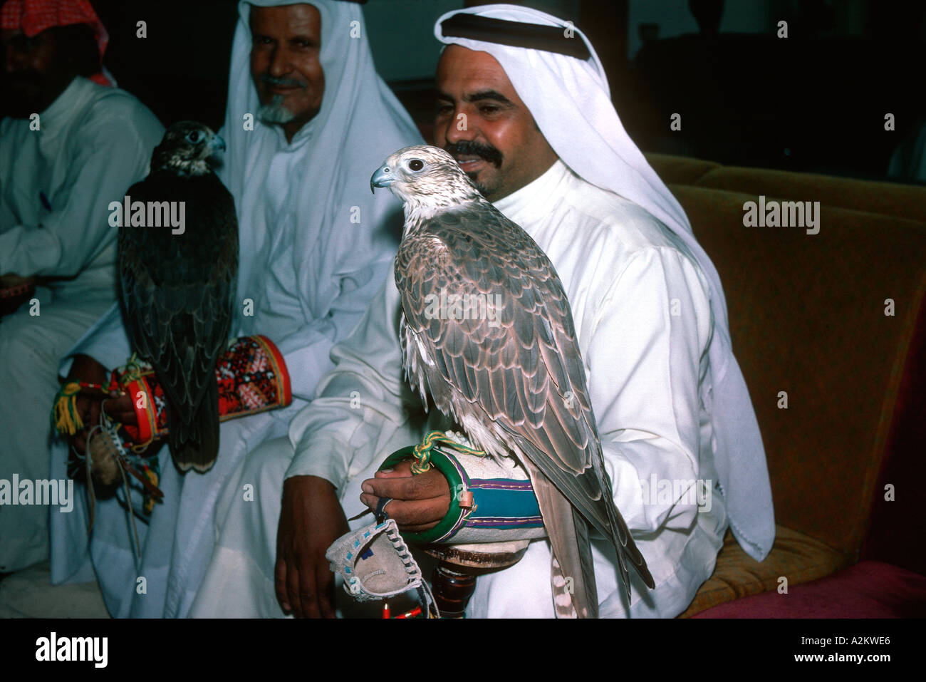 Arab falconer con hooded falcon aeroporto Bahrain Medio Oriente Foto Stock