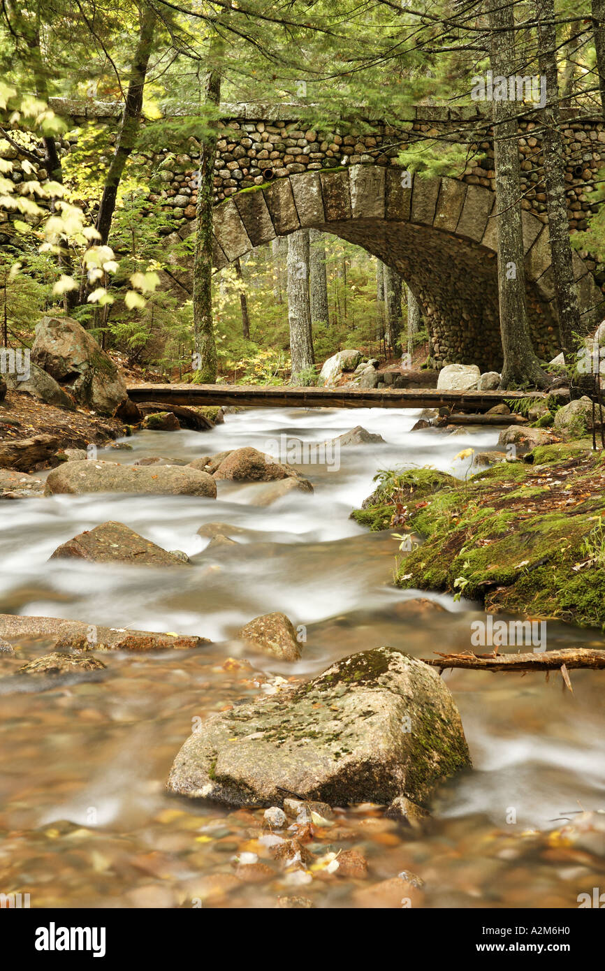 Il trasporto su strada e piedi ponte sul torrente Giordano Mount Desert Island Hancock County Parco Nazionale di Acadia nel Maine USA Foto Stock