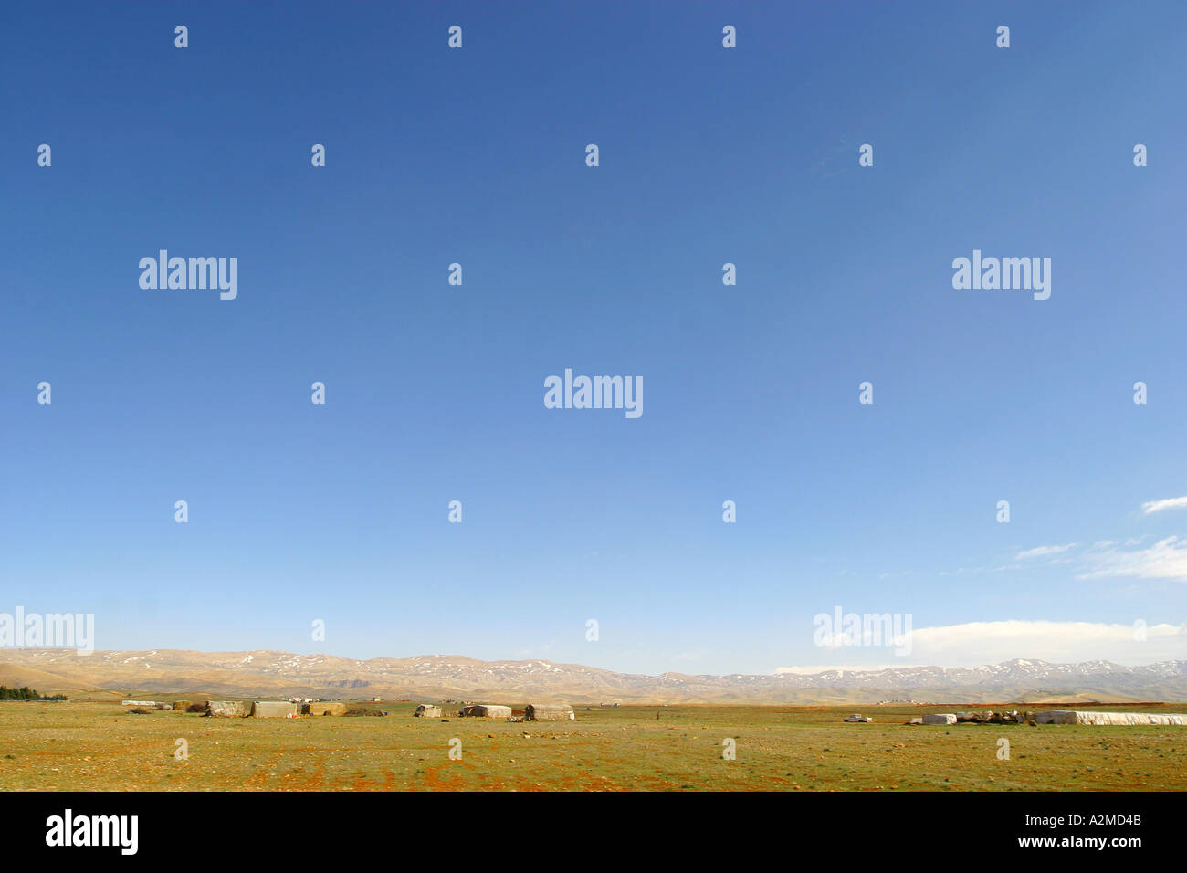 Valle di Bekaa in Libano Foto Stock