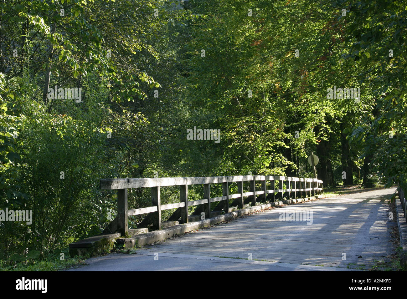 Un ponte di legno nel piccolo villaggio di weichselboden Stiria Austria Foto Stock