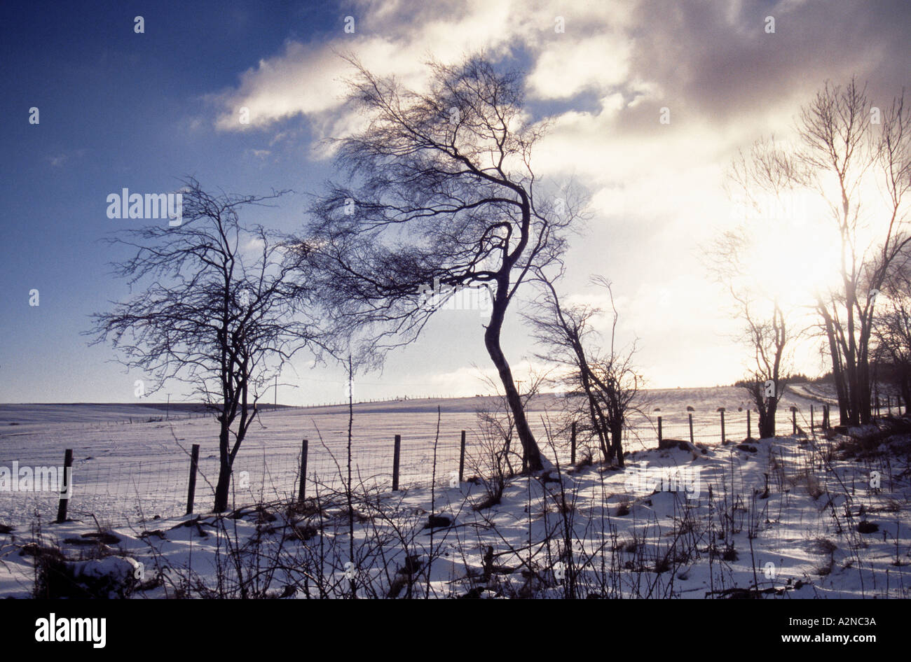 Chiaro cielo invernale 01 vicino a ferro di cavallo pass llangollen Galles del Nord questo è 1 di 2 immagini simili e 1 di 200 PICS TOTALE Foto Stock