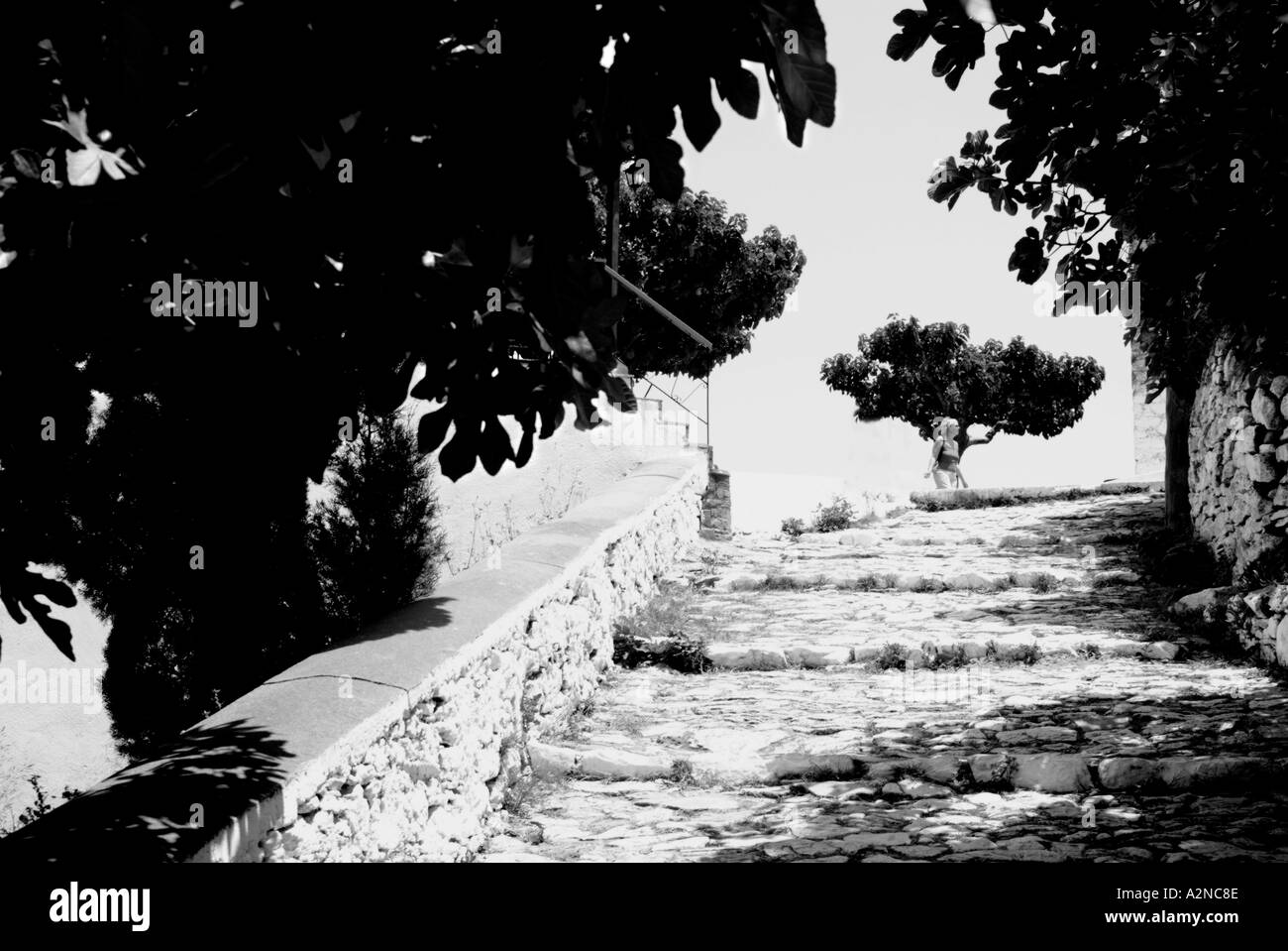 Alonissos città vecchia Alonissos Isola Grecia Foto Stock