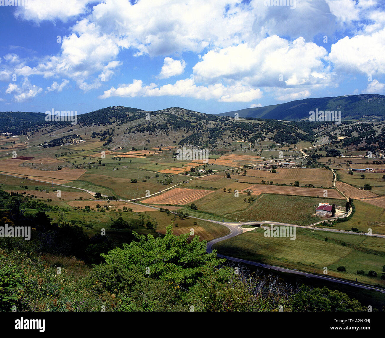 Elevato angolo di visione del paesaggio rurale, Gargano in Puglia, Italia Foto Stock