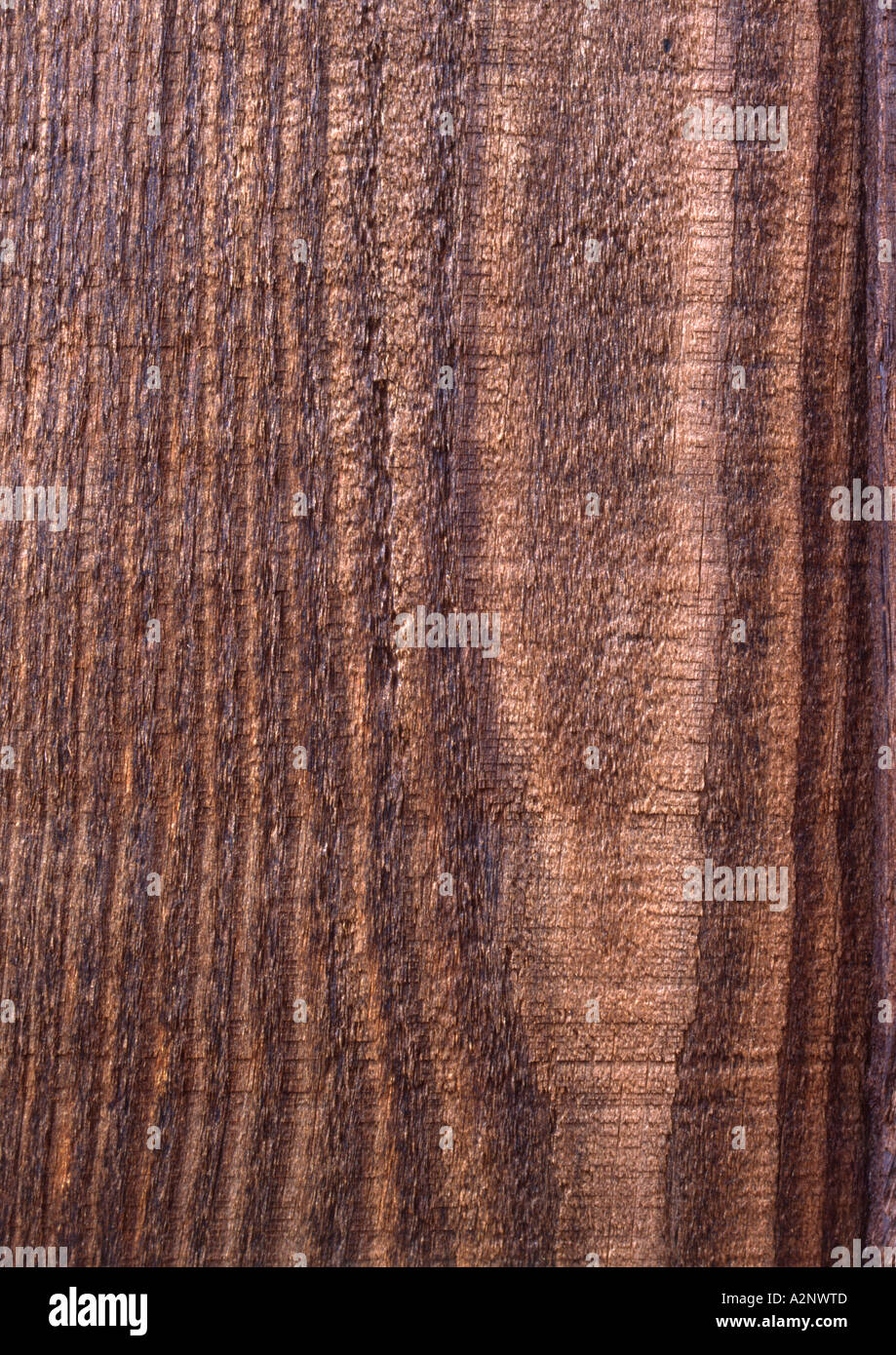 A grana di legno (medium format) Foto Stock