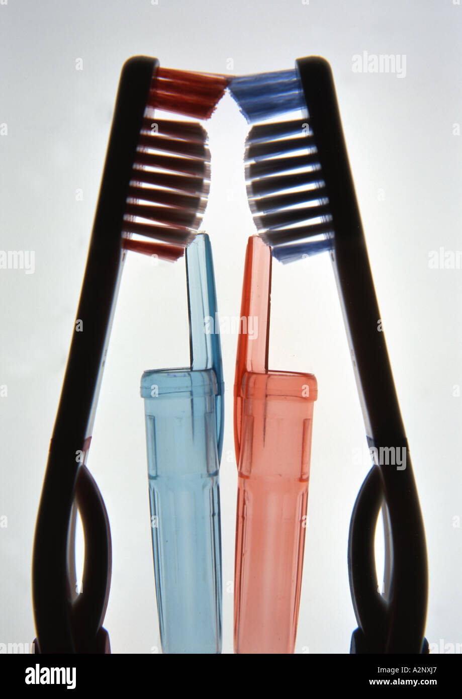 Spazzolino da denti ancora in vita (Medium Format) Foto Stock