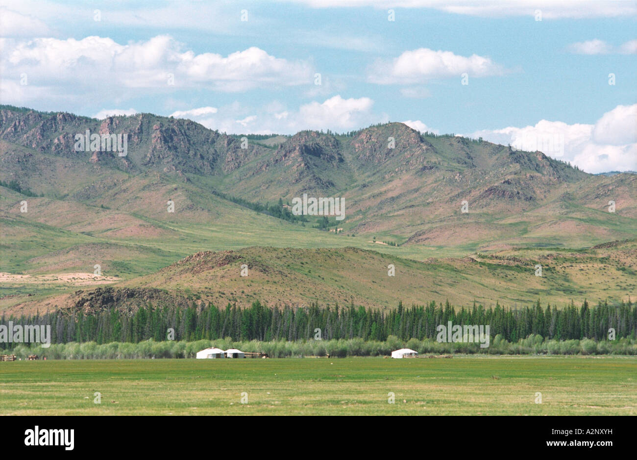 Abitazione mongolo yurt -. Villaggio Bayantes (somon) nelle vicinanze. Zavkhan aimag (provincia). Mongolia Foto Stock