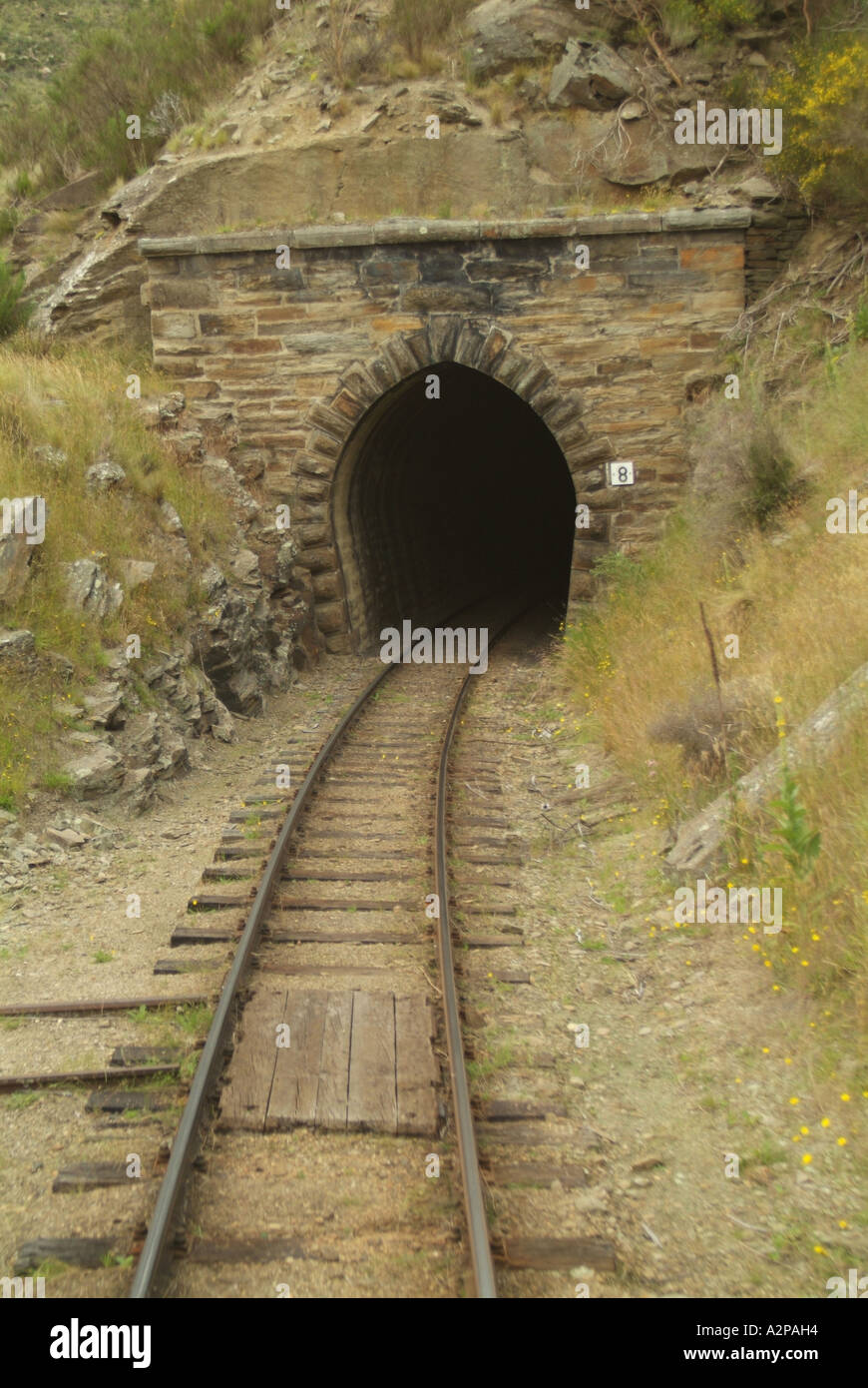 Tunnel ferroviario di ingresso Foto Stock