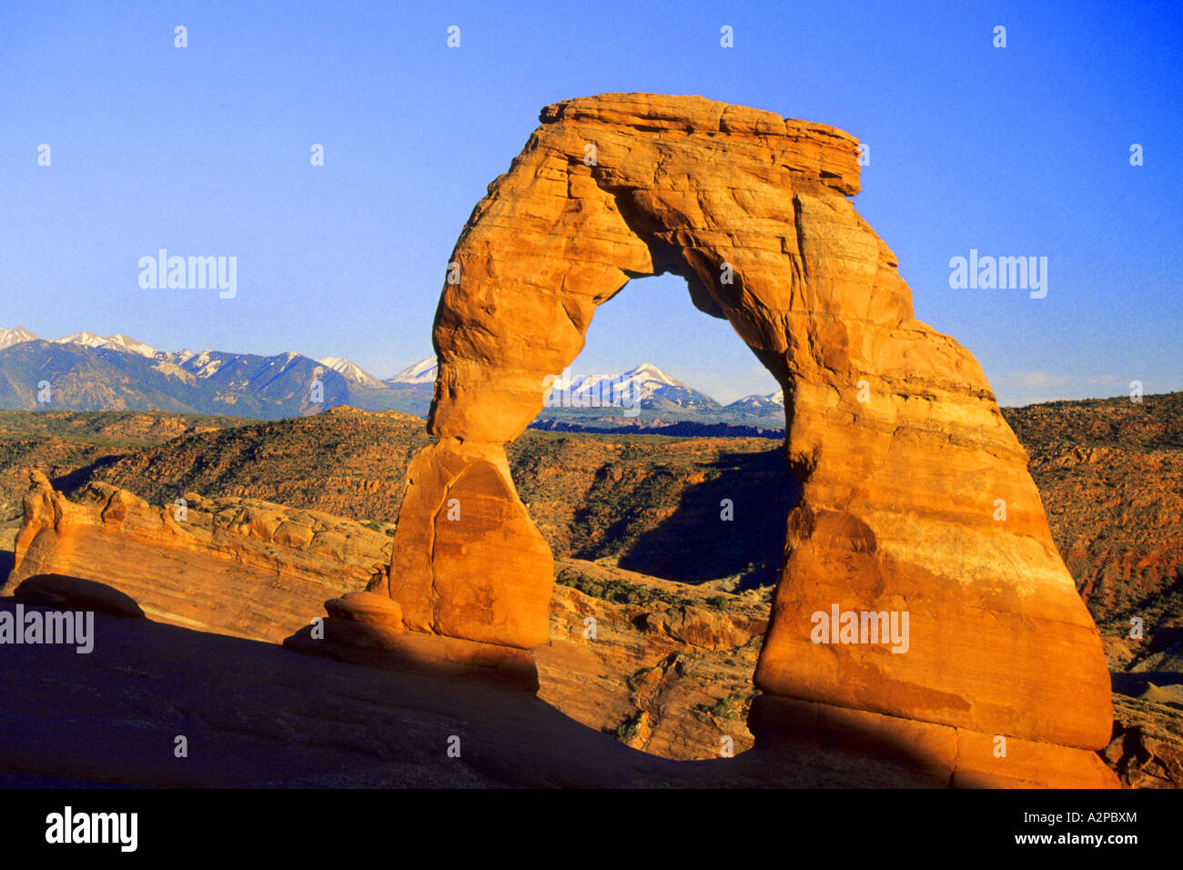 Delicate Arch Arches NP, USA Utah, archi NP Foto Stock
