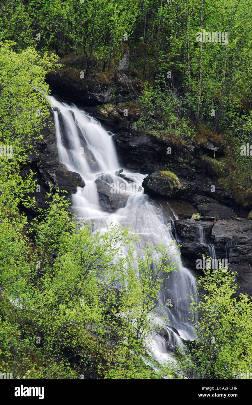 Cascata in prossimità di Narvik, Norvegia, Nordland, Narvik Foto Stock