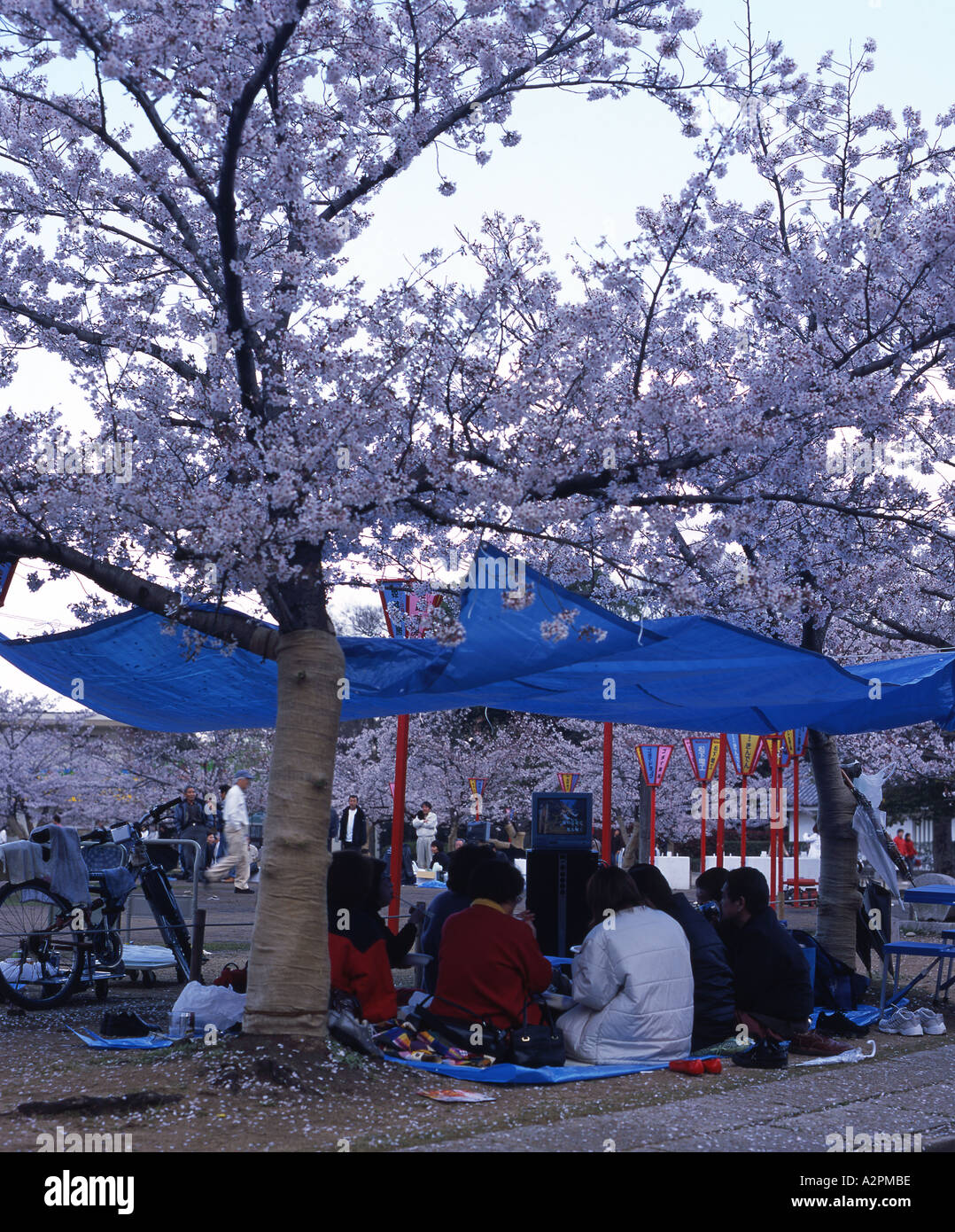 Cherry blossom viewing picnic at UNESCO World Heritage Site Himeji Castle One of the world s greatest castles Foto Stock