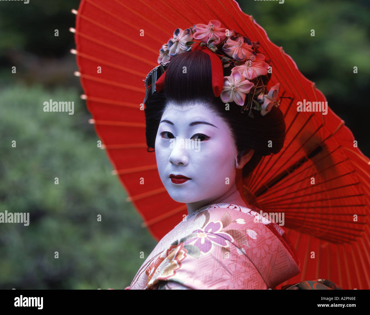 La ragazza di maiko partecipante Geisha costume in giardino giapponese di Kyoto Gion indossare il kimono obi parrucca parasol trucco rossetto Foto Stock