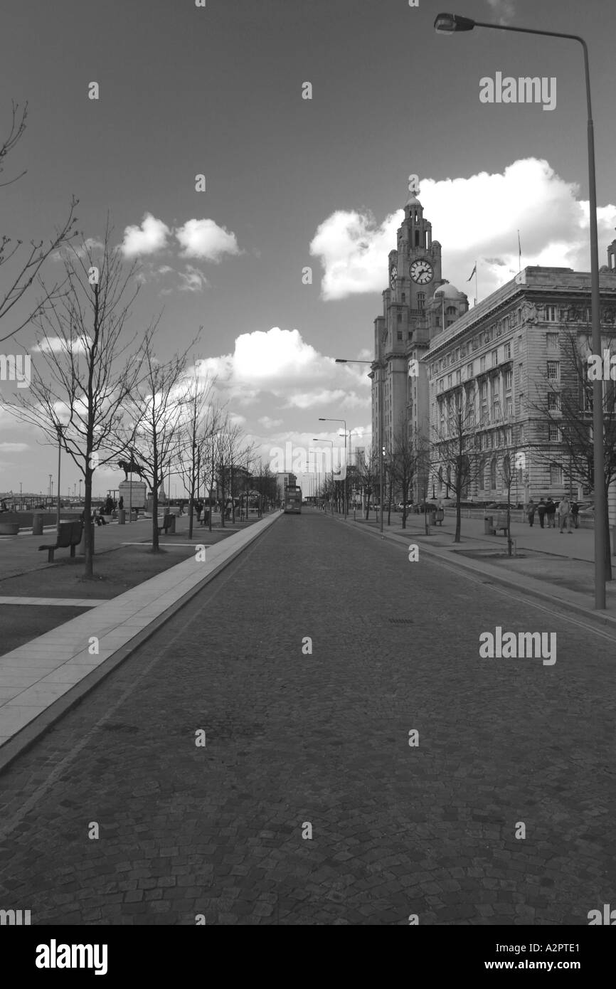 B W Royal Liver Building liverpool waterfront REGNO UNITO Foto Stock