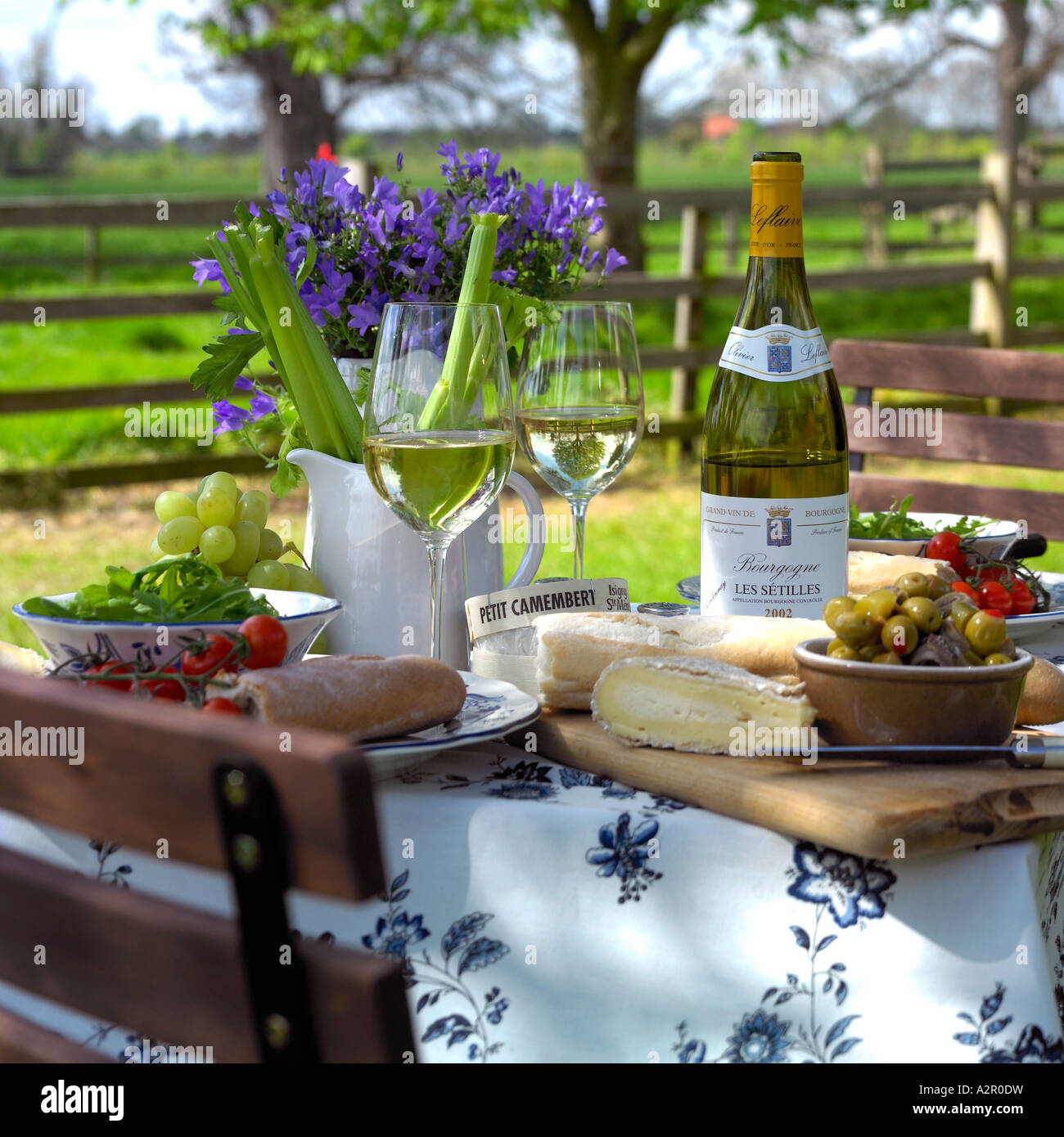 Mangiare all'aperto con il vino, formaggio, pane ecc. Foto Stock