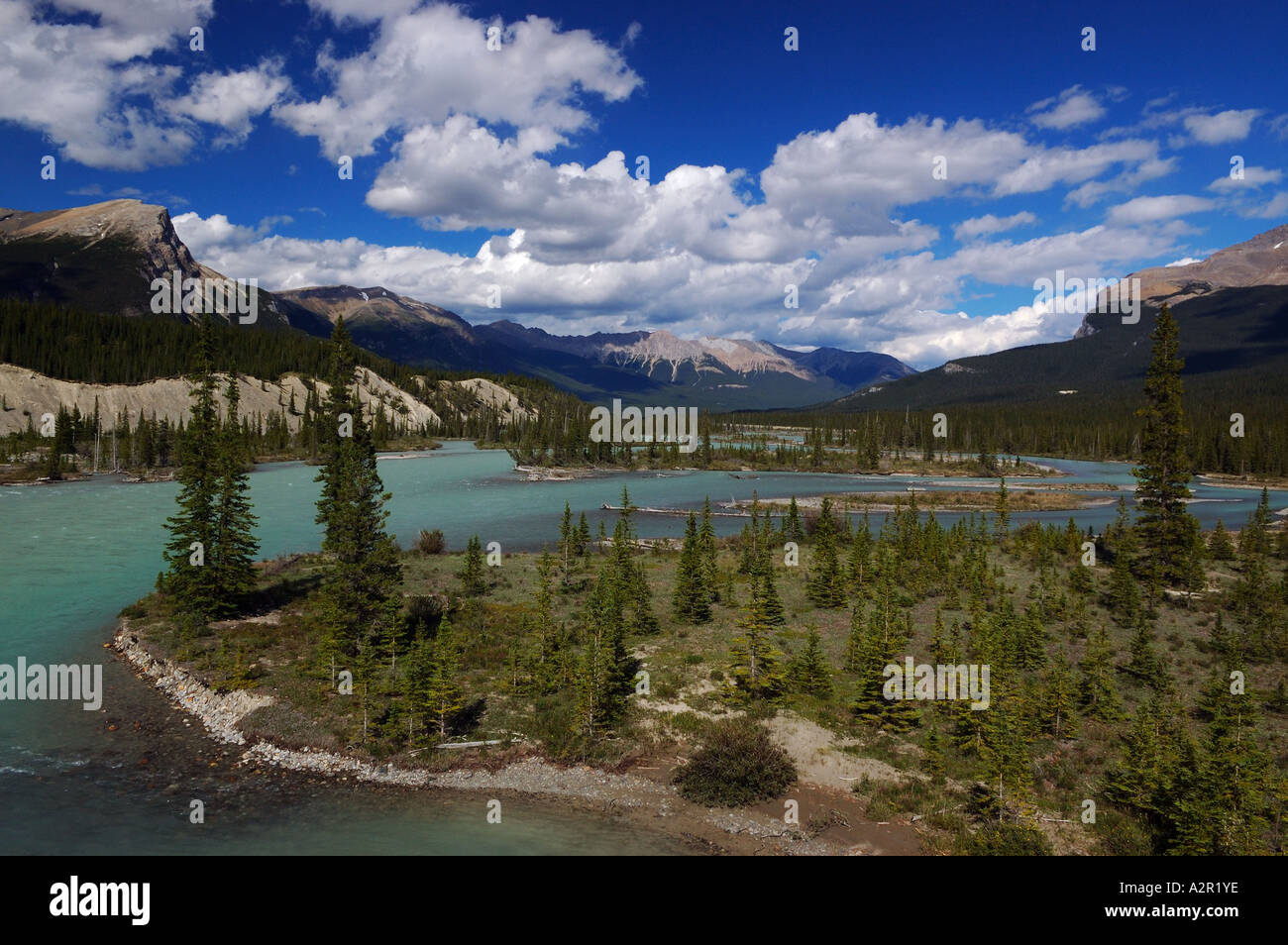 Saskatchewan fiume crossing Icefields Parkway a valle Mistaya il Parco Nazionale di Banff Alberta Canada Foto Stock