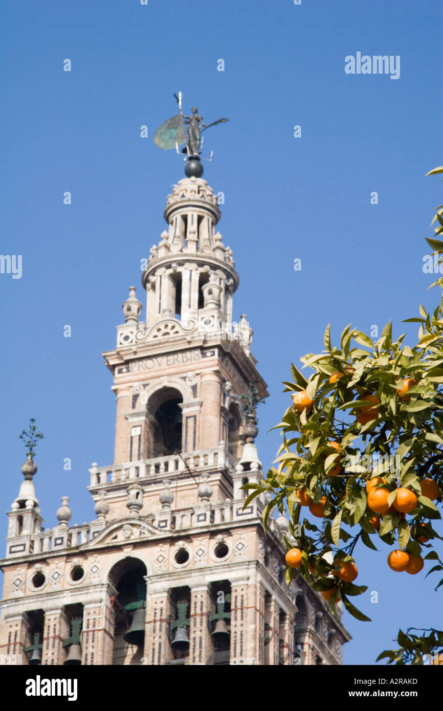 Vista della Giralda e El Giraldillo la banderuola si affaccia su Siviglia Foto Stock