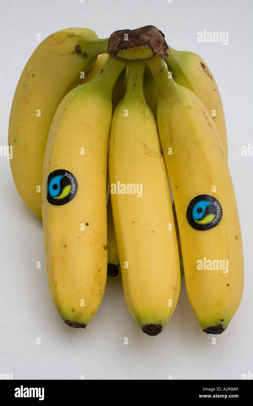 Mazzetto di fairtrade Waitrose banane con FT logo dalla Repubblica Dominicana REGNO UNITO Foto Stock