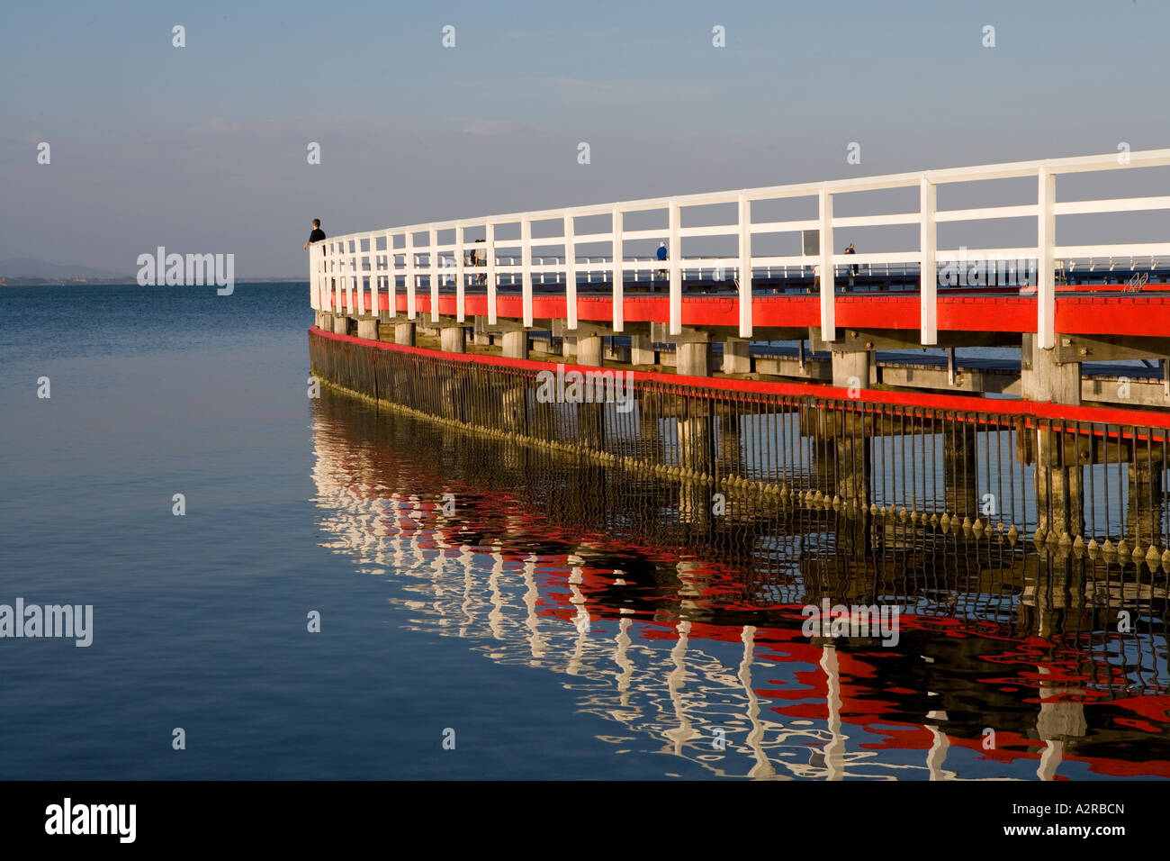 Nel tardo pomeriggio la luce sul dipinto luminosamente nuoto enclosure Geelong Victoria Australia Foto Stock