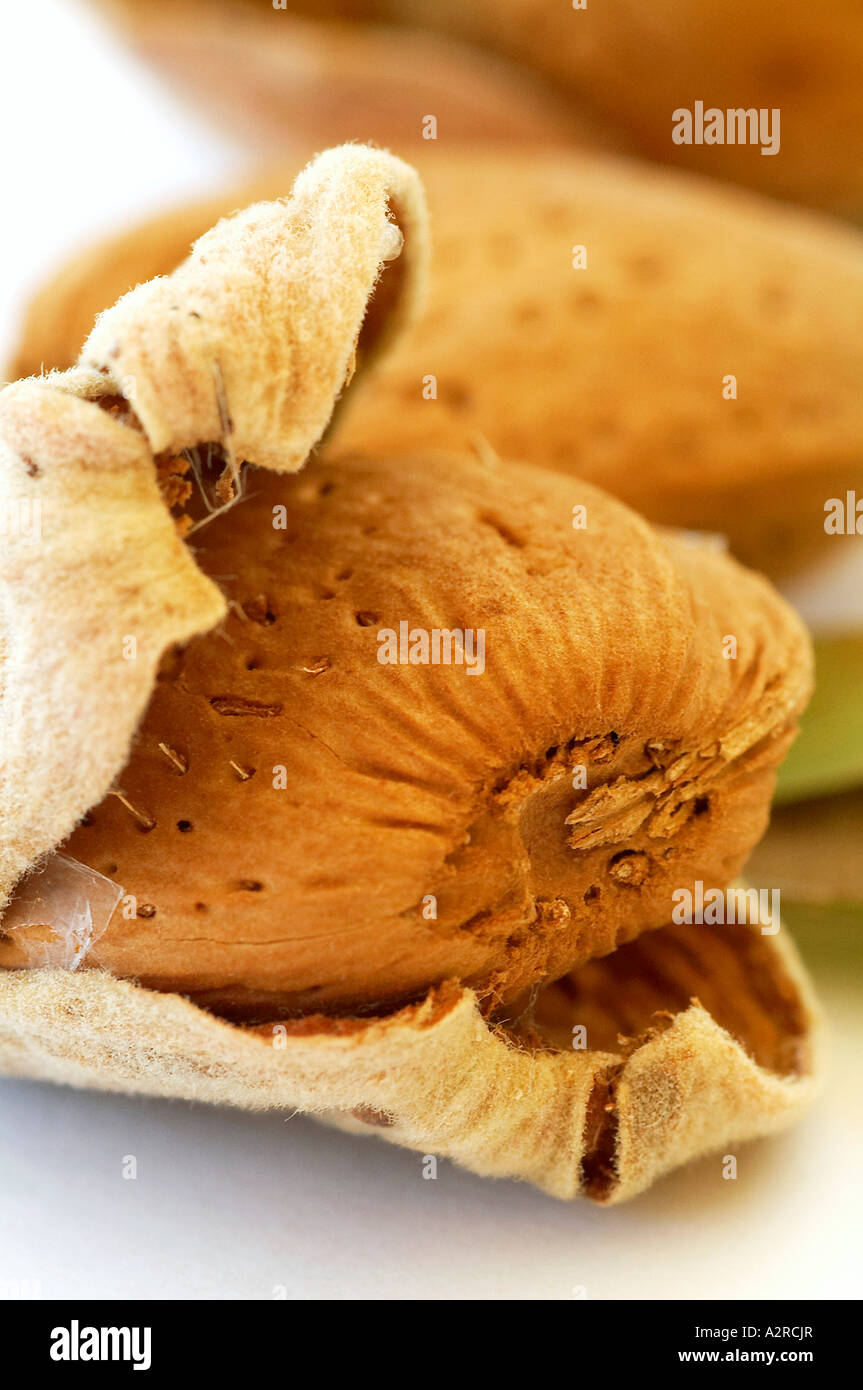 Mandorle in loro gusci e scafi, macro Foto Stock
