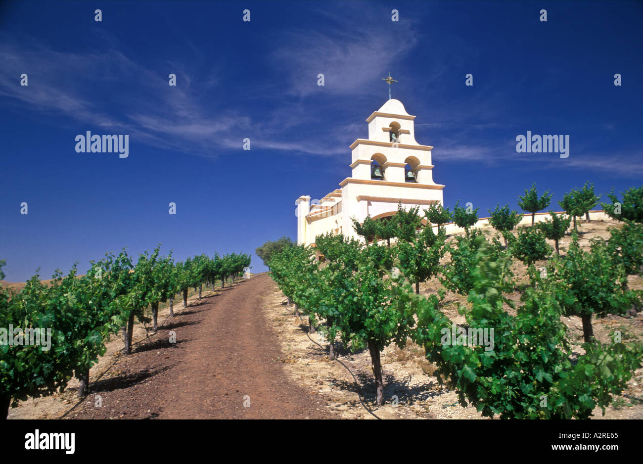 Stati Uniti d'America California Paso Robles chiesa sulla collina con vigneti di uve Foto Stock