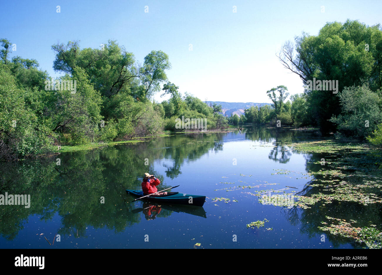 Stati Uniti d'America California chiaro lago del Parco Statale di mezza età maschio bianco in kayak su un laghetto con un binocolo spotting per uccelli Foto Stock