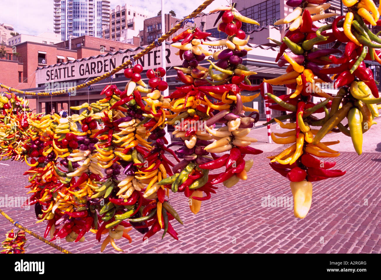 Il Pike Place Market, Seattle, nello Stato di Washington, Stati Uniti d'America - Peperoncino appeso sul display per la vendita Foto Stock