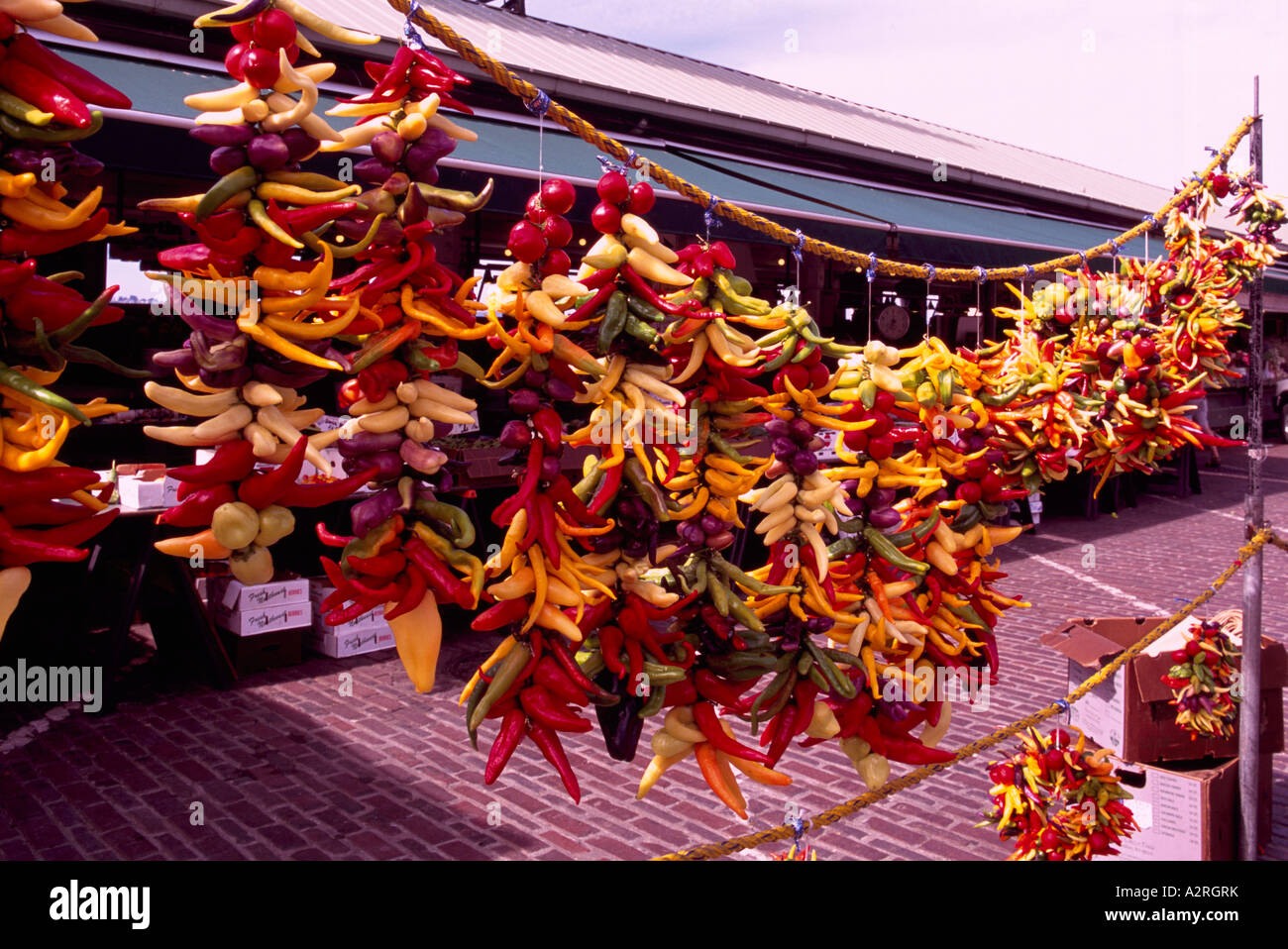 Il Pike Place Market, Seattle, nello Stato di Washington, Stati Uniti d'America - Peperoncino appeso sul display per la vendita Foto Stock