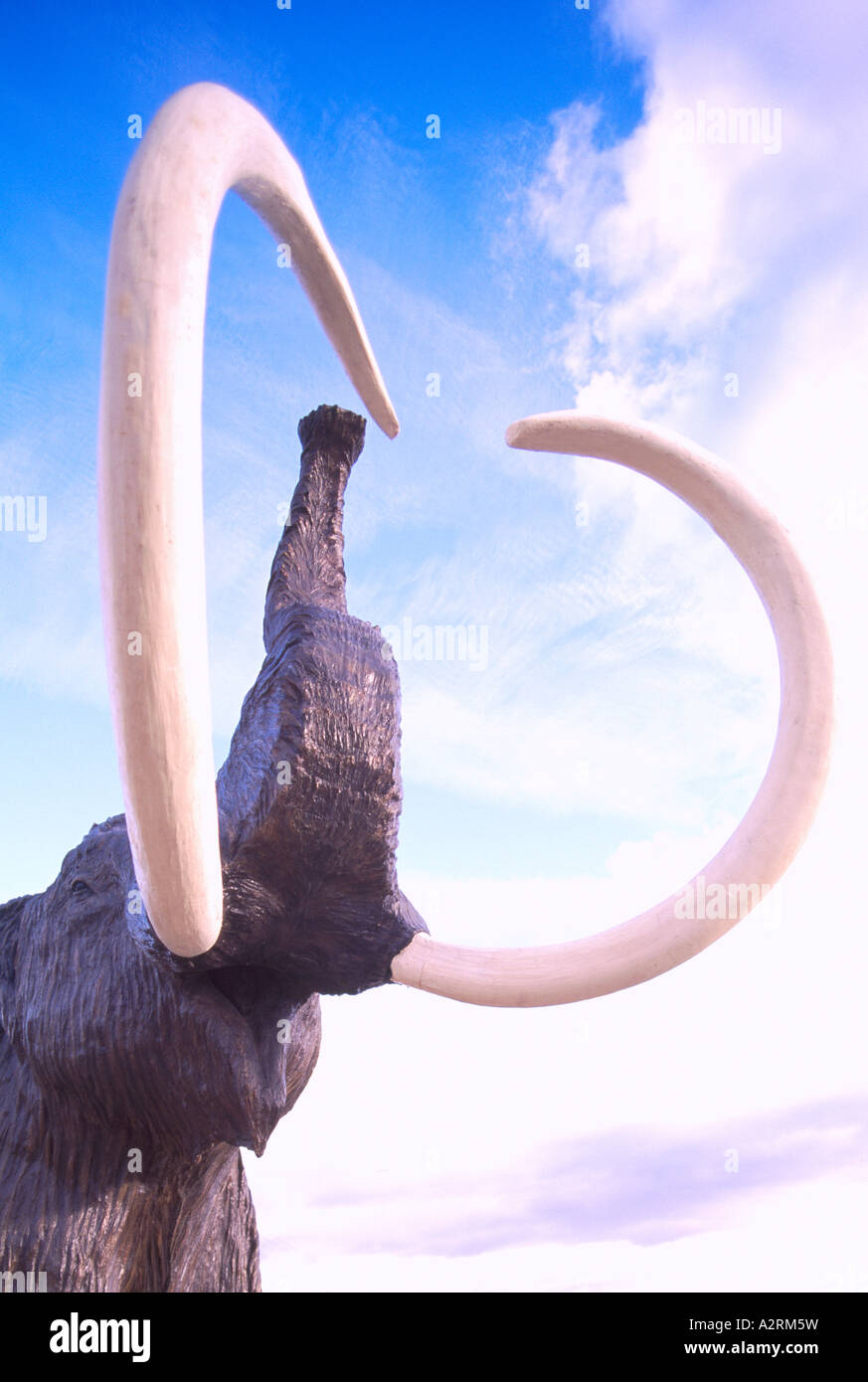 Mammut lanosi (Mammuthus primigenius) statua alla Beringia Interpretive Center, Whitehorse, Yukon Territory, Canada Foto Stock