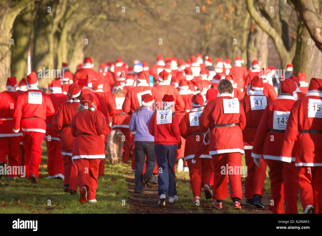 La carità il divertimento delle guide di scorrimento nel Babbo Natale Fancy Dress UK Foto Stock