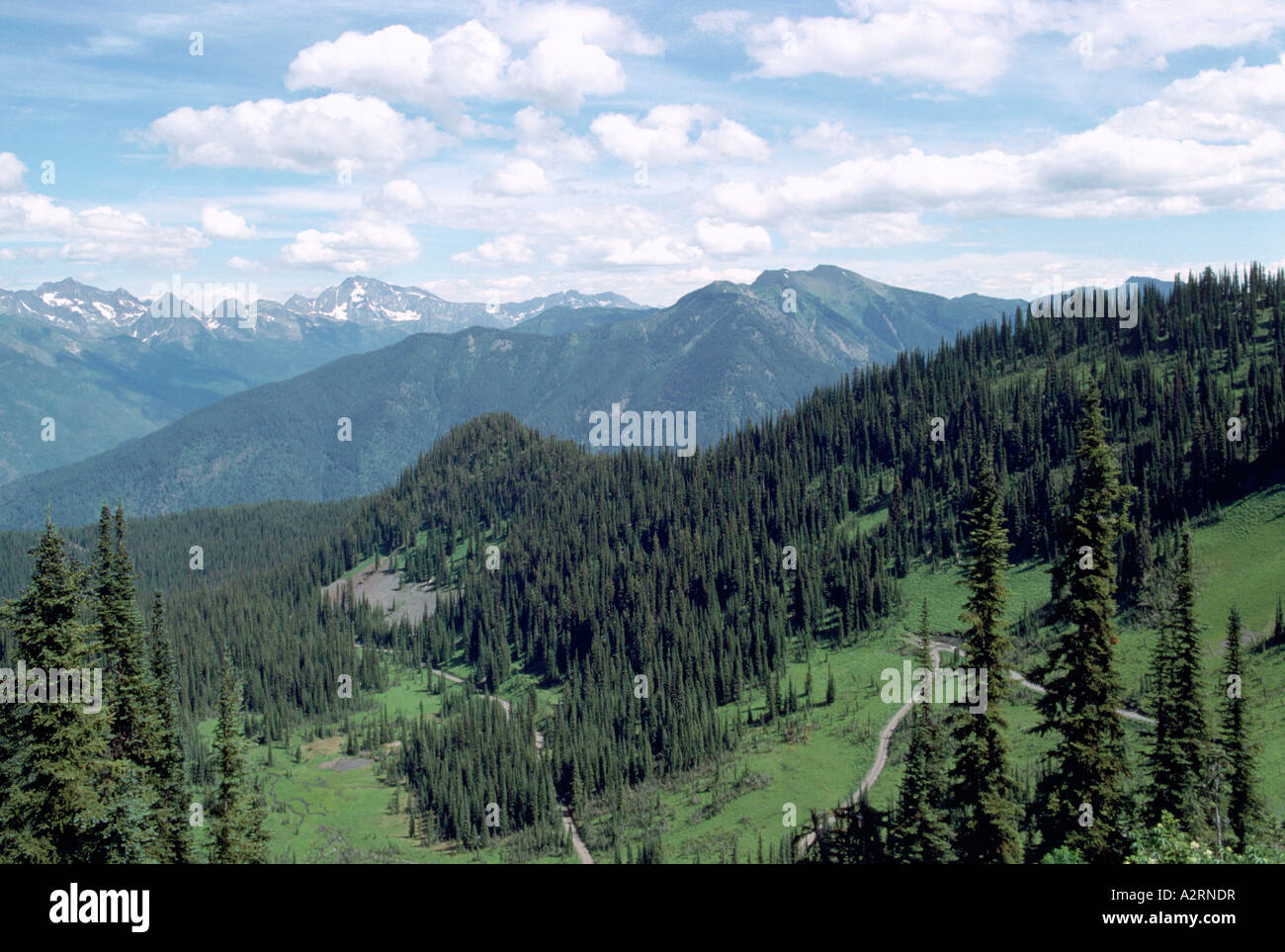 Selkirk Mountains, Slocan Valley, e le foreste di conifere dal picco di Idaho, BC, British Columbia, Canada - Regione di Kootenay Foto Stock