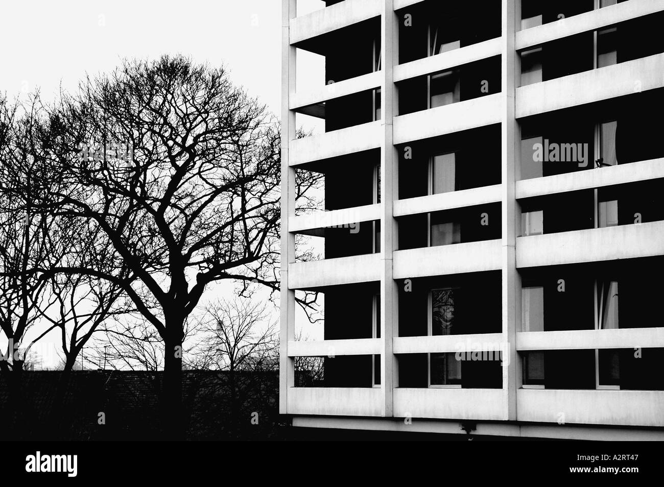 Alto edificio di appartamenti che figura in bianco e nero contro le tracce lineari di un inizio inverno tree Foto Stock