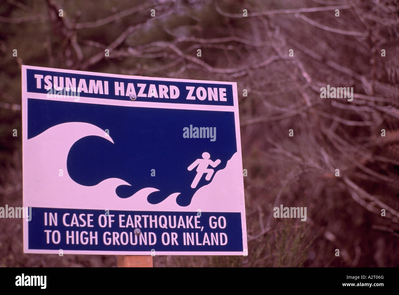 Tsunami zona di pericolo i percorsi di evacuazione autostrada cartello stradale - In caso di terremoto vai a massa elevata o di navigazione Foto Stock