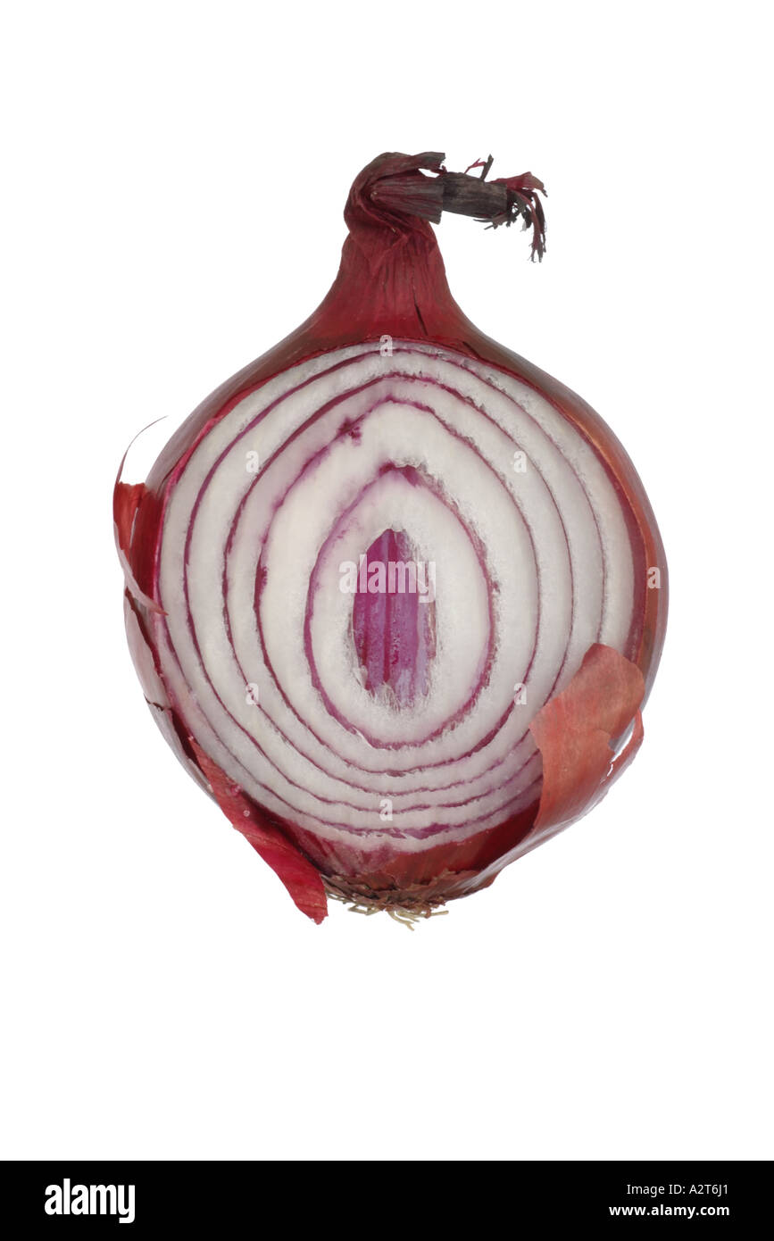 Macro di una cipolla tagliata in halfs mostra onion skin all'interno. Foto Stock
