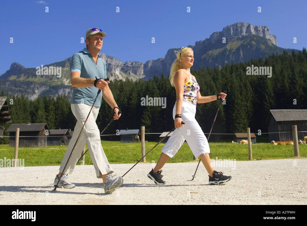 Nordic walking, Austria Foto Stock