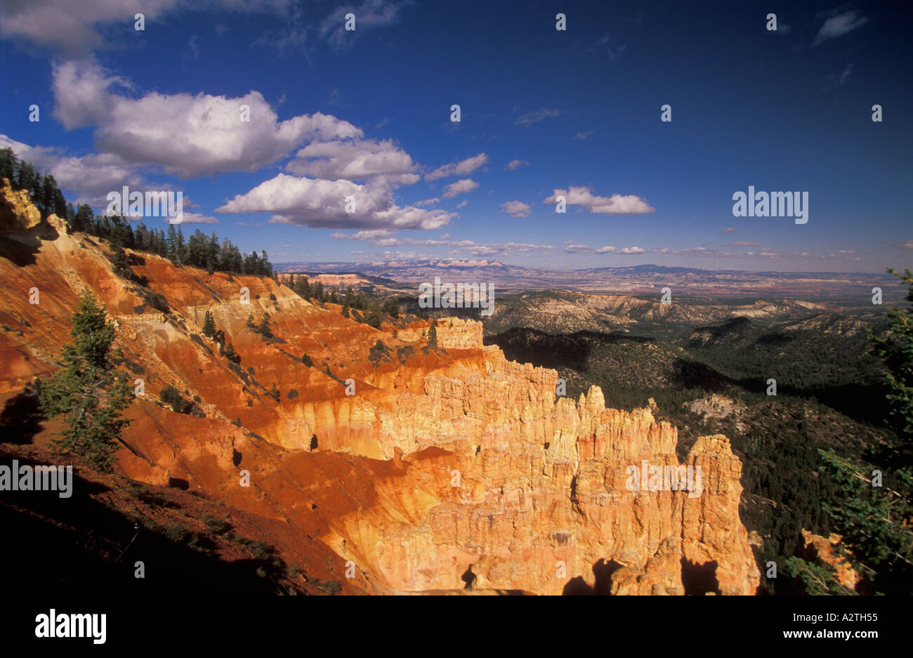 Arenaria retroilluminato Hoodoo s e Douglas abeti Bryce Canyon anfiteatro USA Utah Stati Uniti d'America Foto Stock