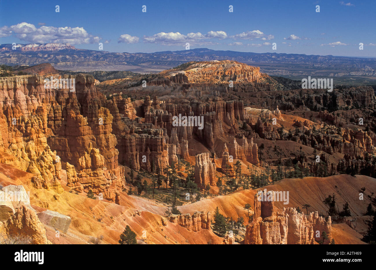 Arenaria retroilluminato Hoodoo s e Douglas abeti di sunrise nel Bryce Canyon anfiteatro USA Utah Stati Uniti d'America Foto Stock