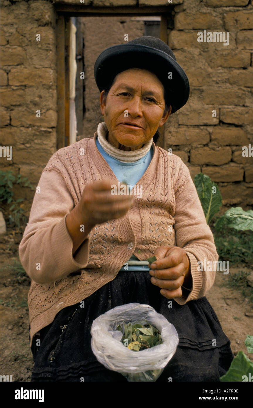 Donna che indossa un tradizionale cappello bowler, masticare foglie di coca in Bolivia Foto Stock