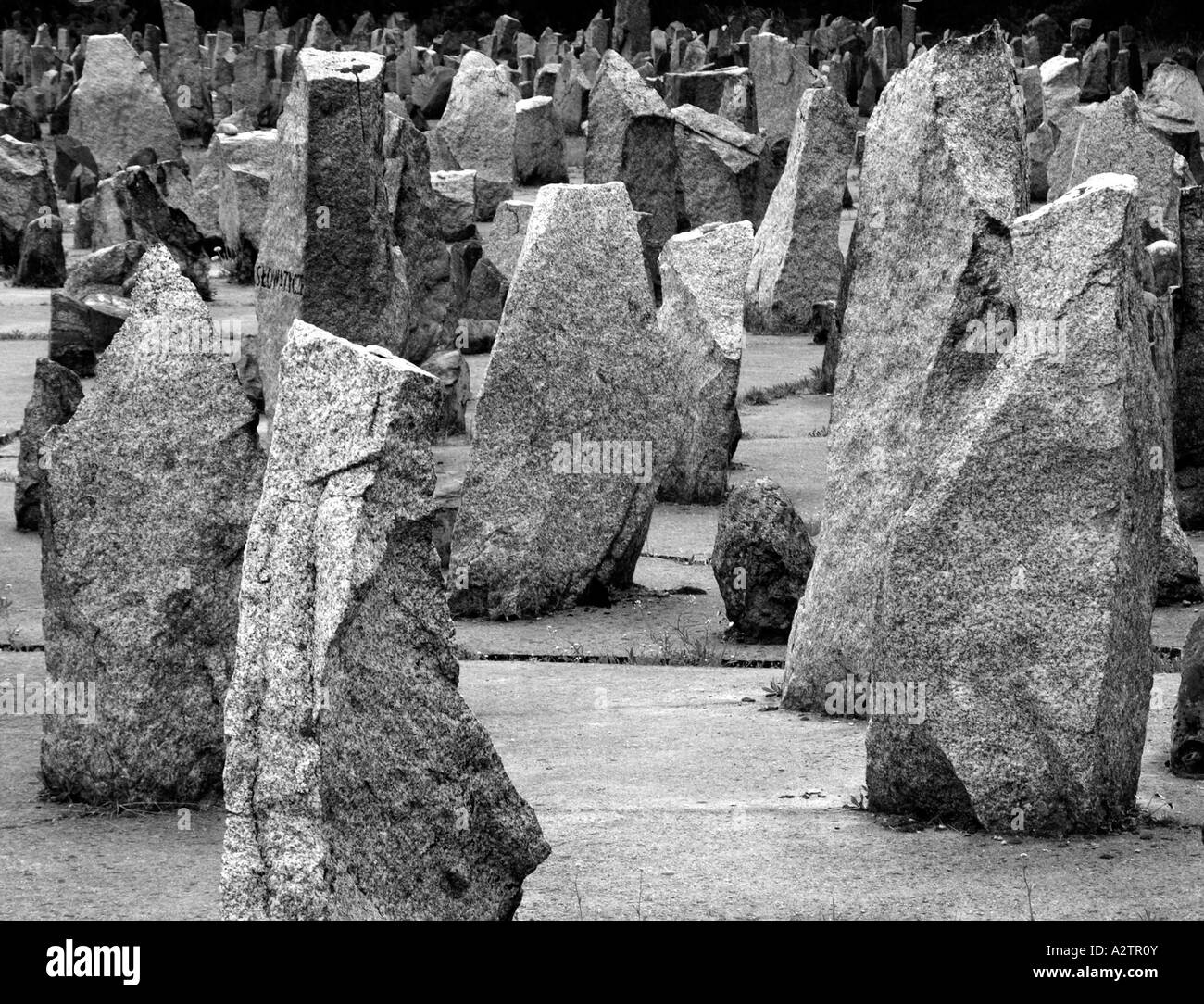 Memoriale di granito colonne all'interno di Treblinka campi di sterminio in Polonia Foto Stock