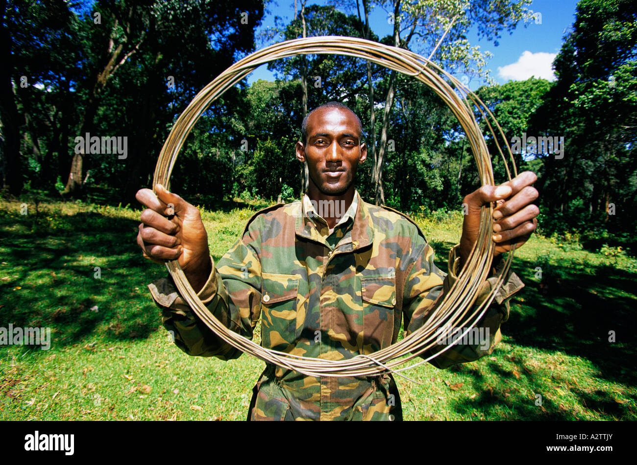 Del Kenya Wildlife Service ranger con buffalo insidie presenti nel del Mount Elgon Parco Nazionale del Kenya Foto Stock