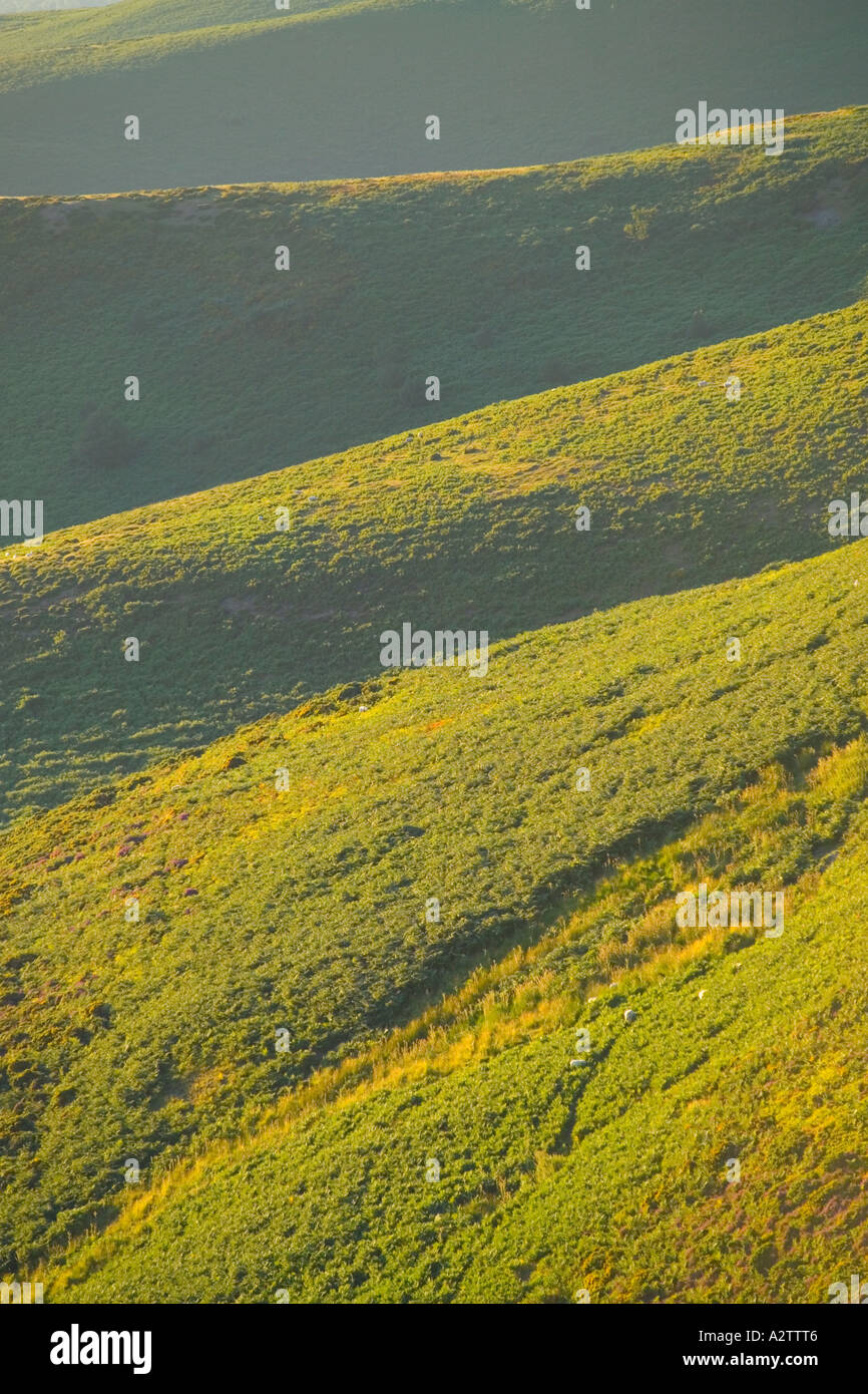Guardando giù nel vale Clwyd da Moel Famau, con la luce del tardo pomeriggio attraverso il paesaggio. Foto Stock