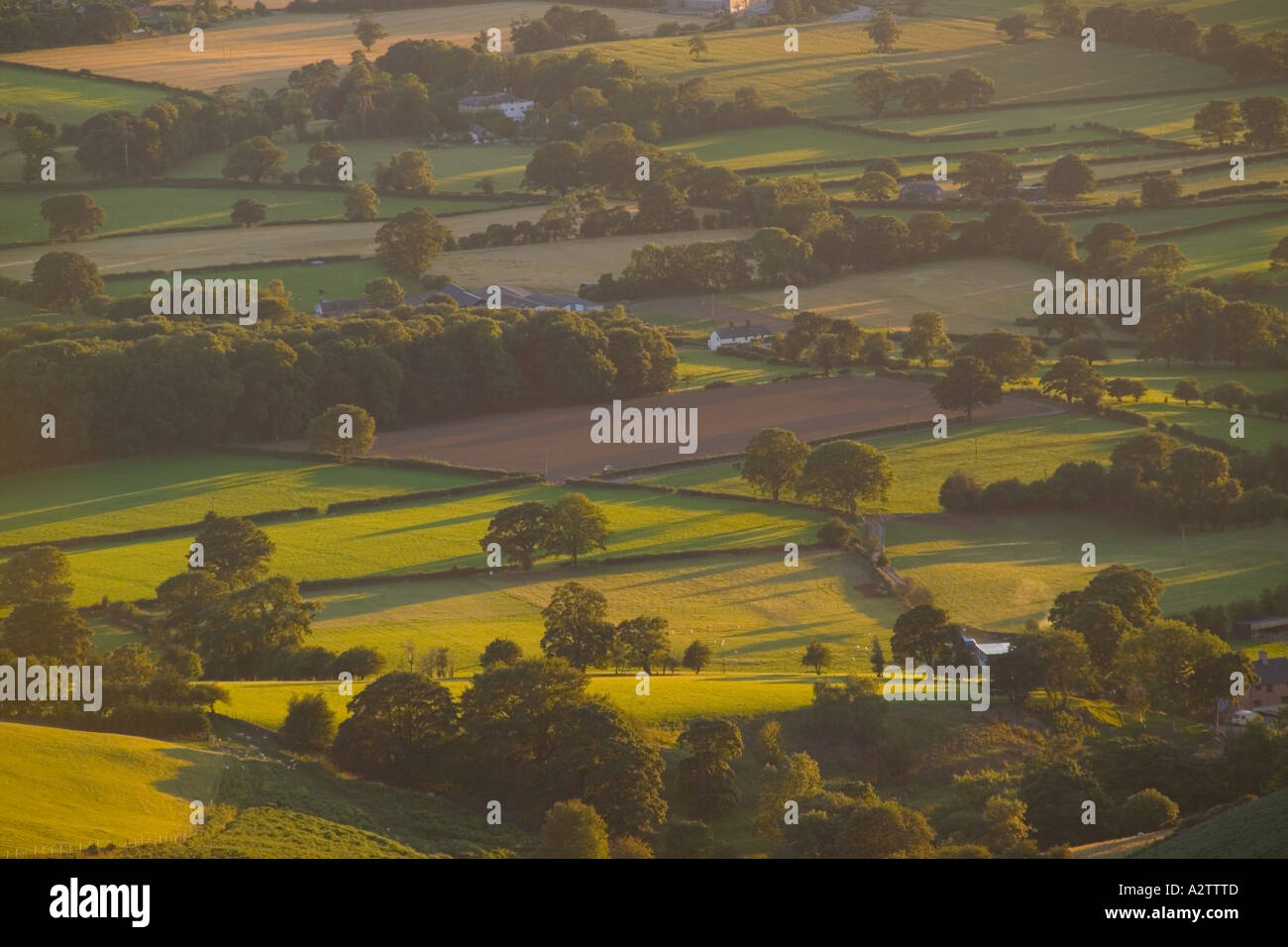 Guardando giù nel vale Clwyd da Moel Famau, con la luce del tardo pomeriggio attraverso il paesaggio. Foto Stock