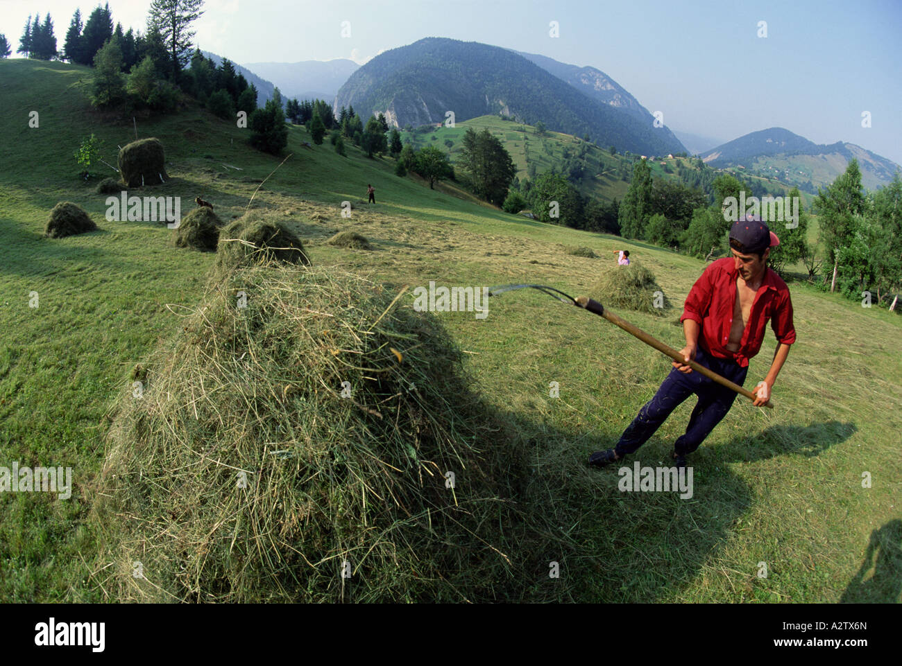 Un rumeno farmworker la raccolta del fieno in estate con strumenti tradizionali dei Carpazi della Romania Foto Stock