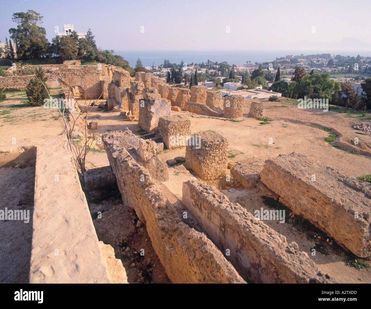 Tunisia rovine di Cartagine Foto Stock