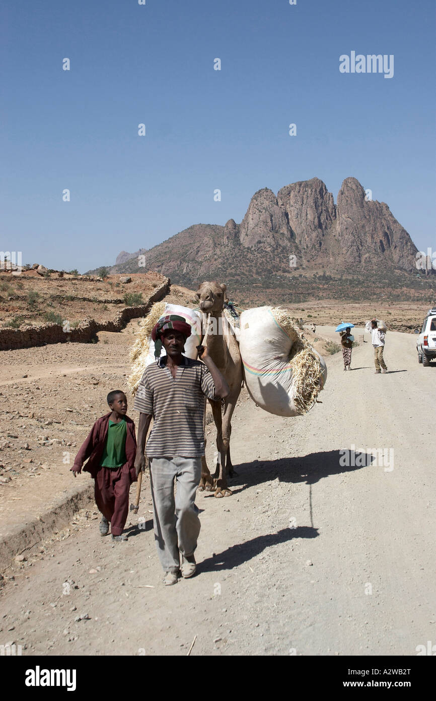 Persone e cammello herder con Adwa montagne in distanza nord dell'Etiopia Foto Stock