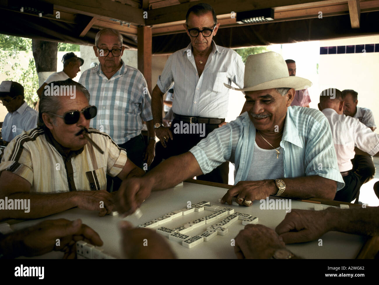 Gruppo di anziani uomini ispanica GIOCA Domino in Little Havana Miami, Stati Uniti d'America Foto Stock